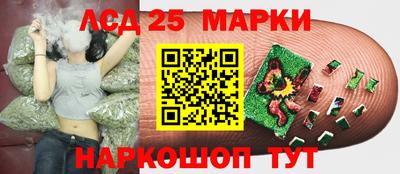 гидропоника Заводоуковск