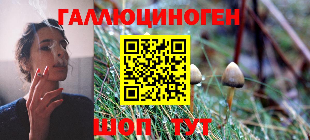 Псилоцибиновые грибы MAGIC MUSHROOMS Люберцы